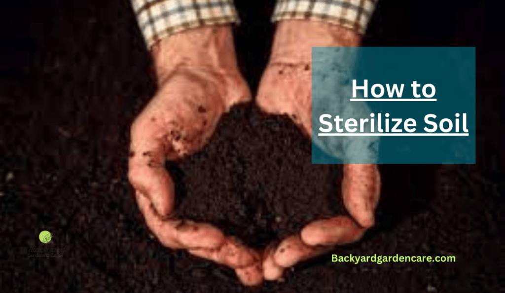 Sterilizing Soil