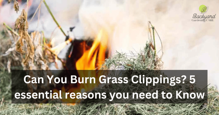 Can You Burn Grass Clippings? 5 essential reasons you need to Know