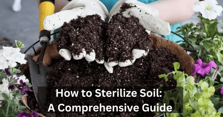 How to Sterilize Soil: A Comprehensive Guide