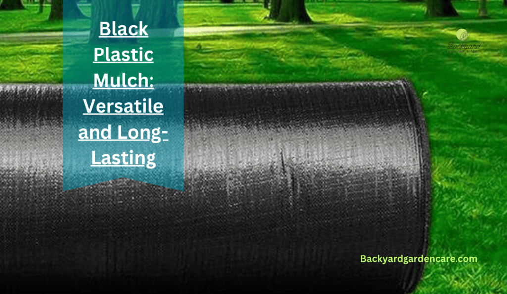 Black Plastic Mulch: Versatile and Long Lasting