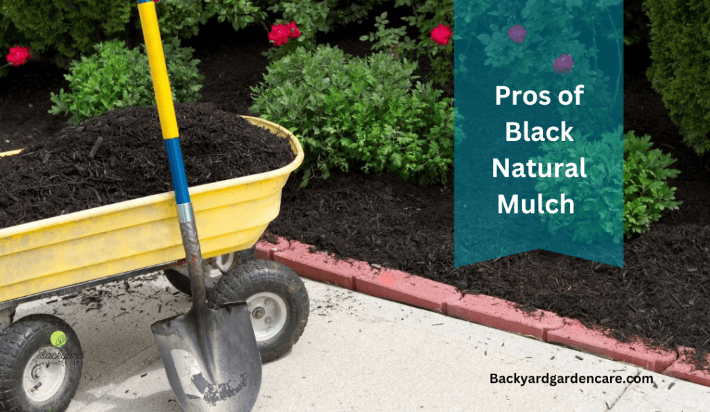 Pros of Black Natural Mulch