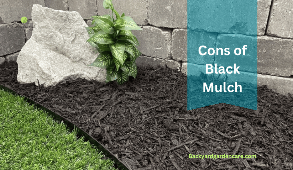 Cons of Black Mulch