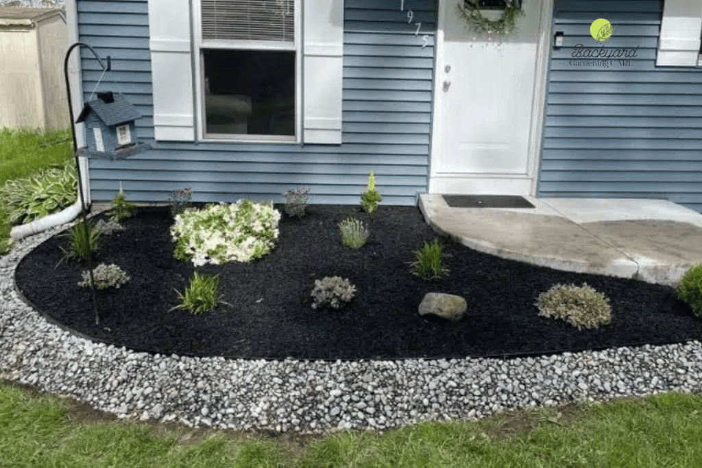 Black mulch to cover dirt in backyard