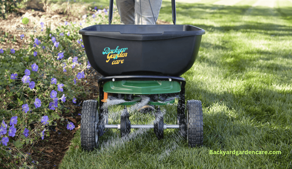 Overseeding to make the bermuda Grass Thicker