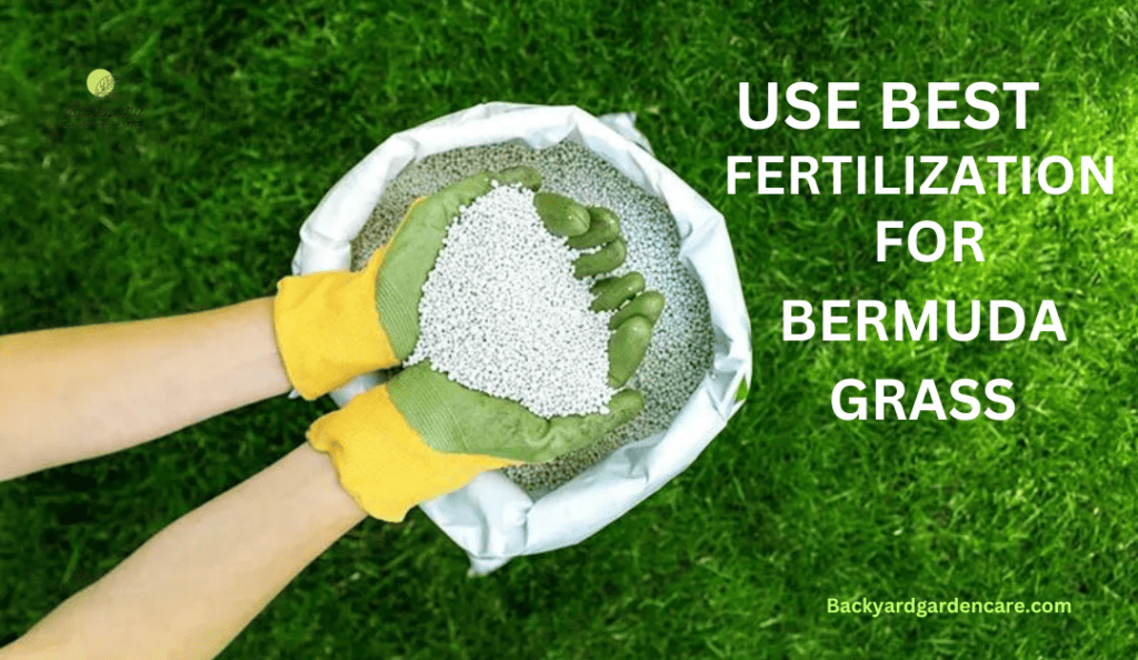 Use best fertilization for Bermuda Grass