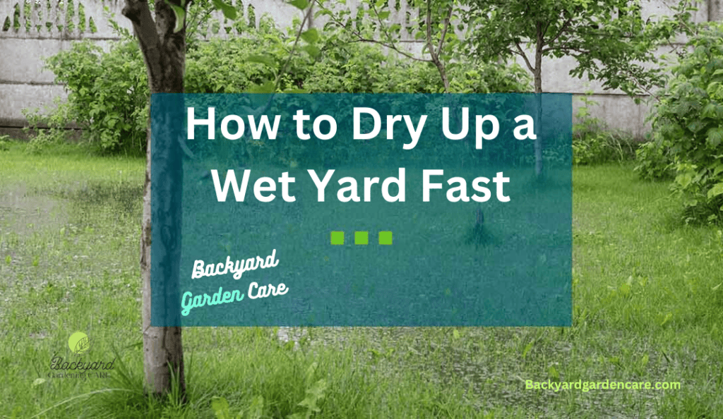 How to Dry Up a Wet Yard Fast