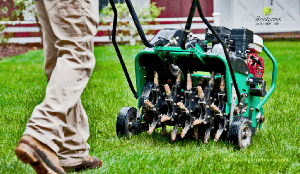 Aeration the Key to a Healthy Lawn