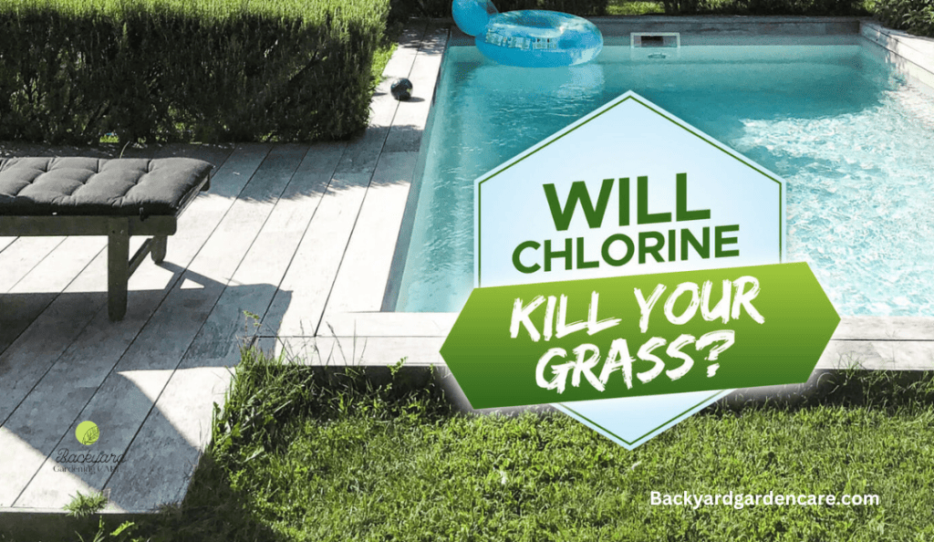 Will Chlorine Water Kill Your Grass