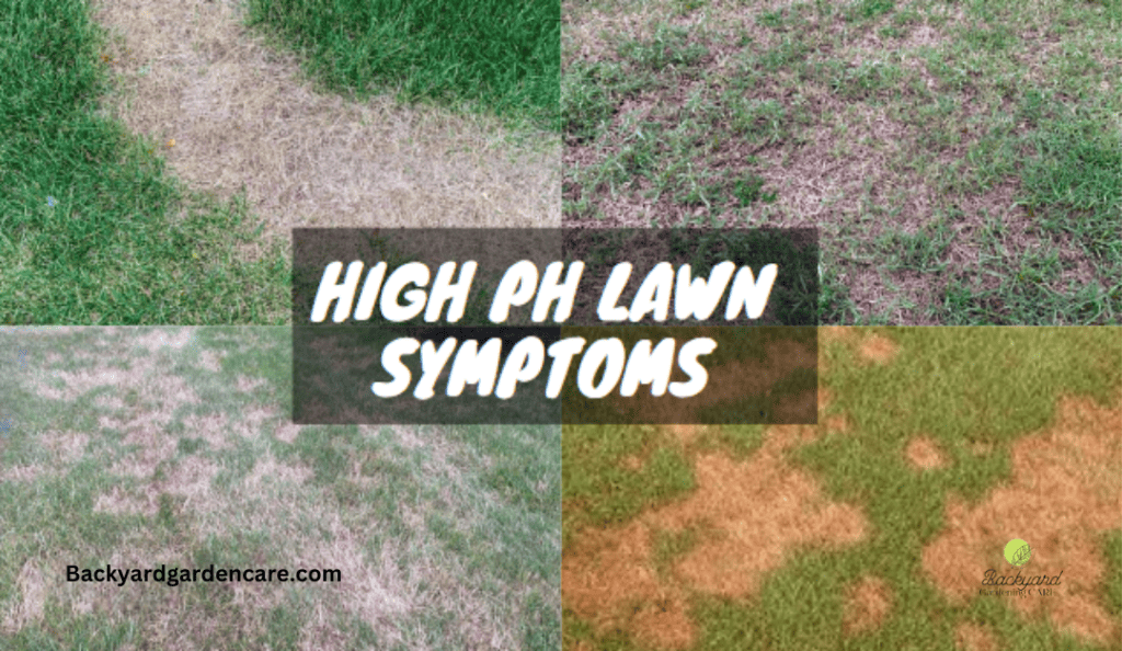 high ph lawn symptoms