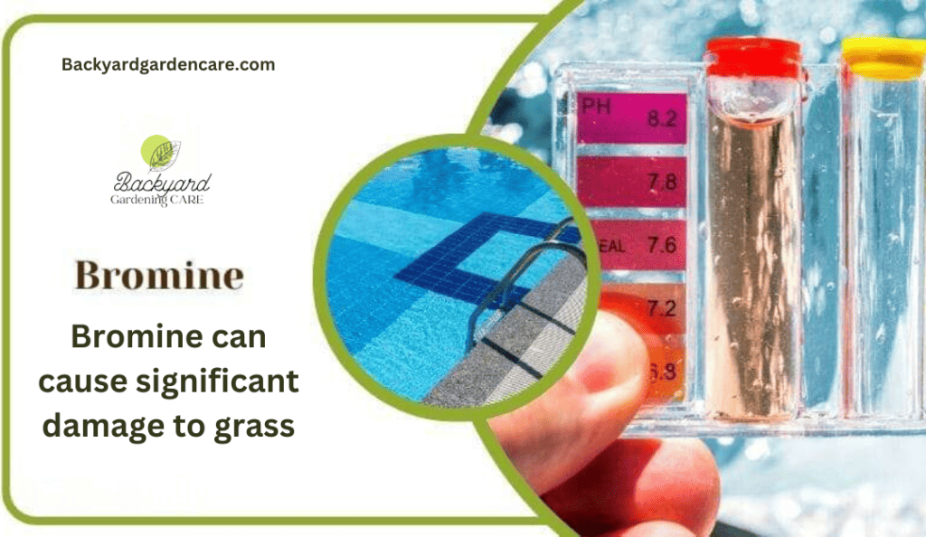 bromine can cause of significant damage to grass