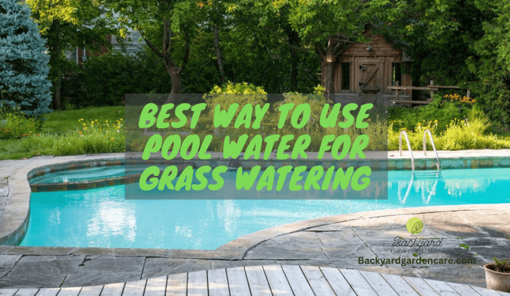 Best Way To Use Pool Water For Grass Watering