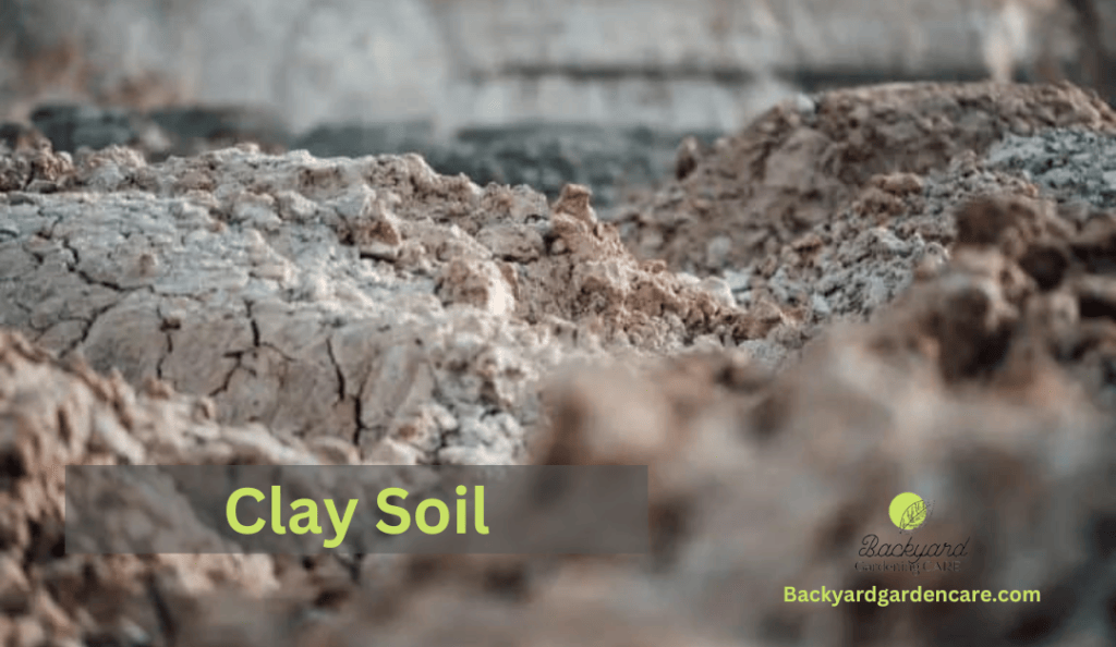 Clay Soil