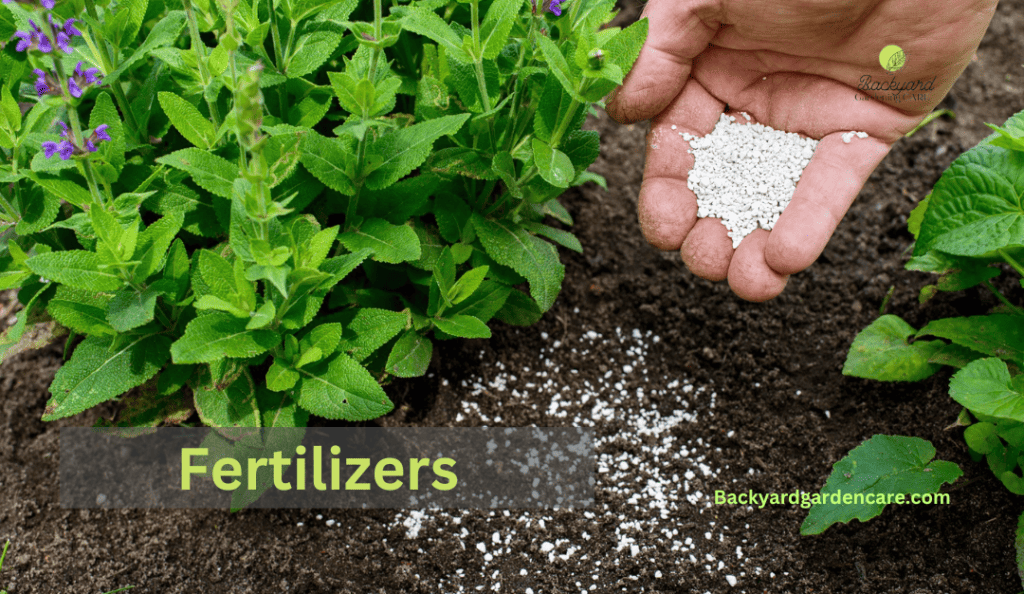 Fertilizers For Lawn