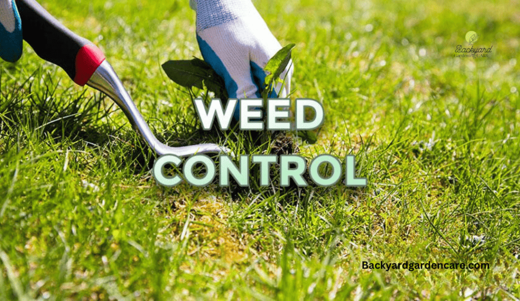 Weed Control Manually