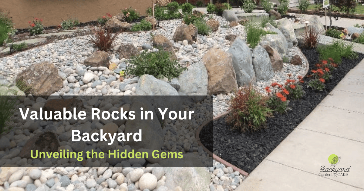 Valuable Rocks in Your Backyard