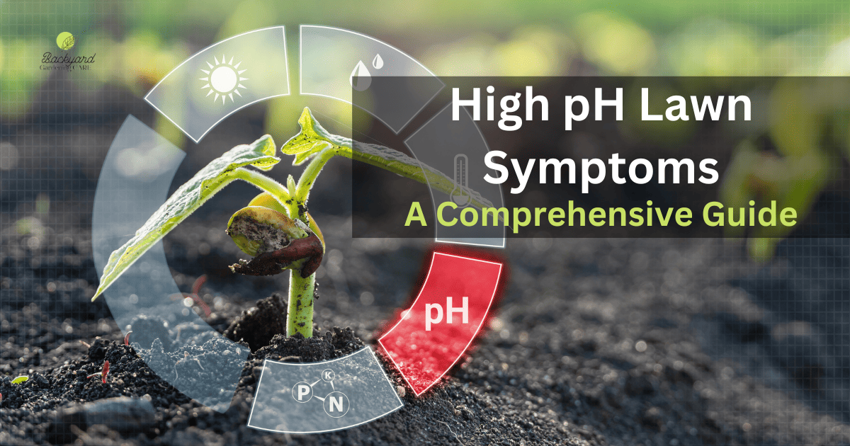 Identifying and Treating High pH Lawn Symptoms: A Comprehensive Guide.