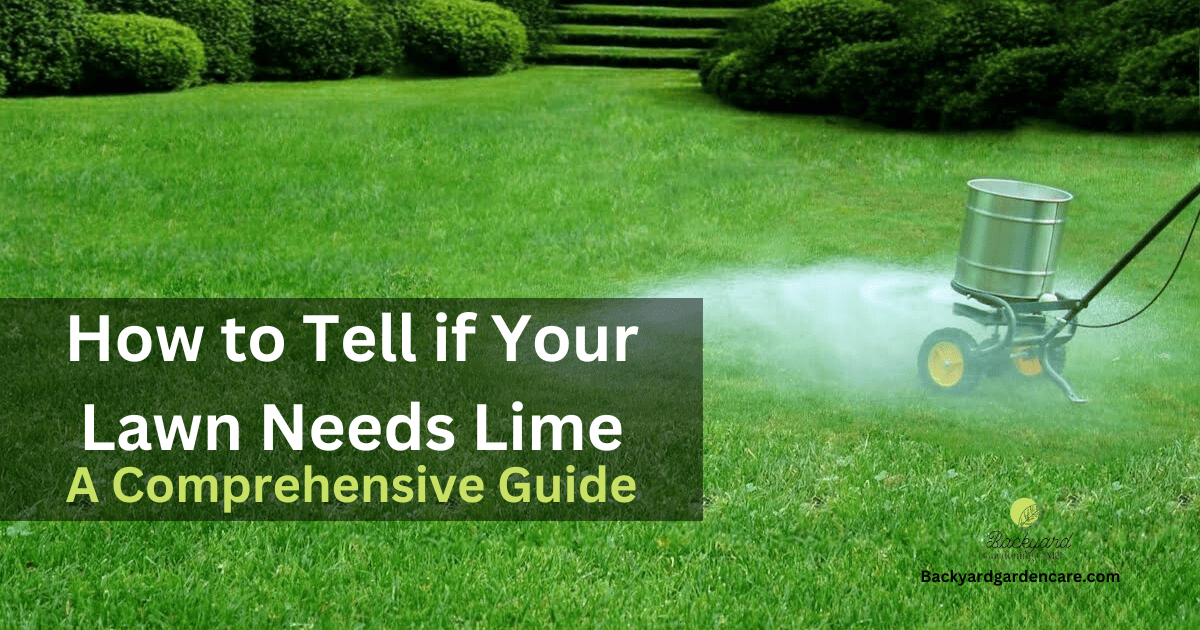 How to Tell if Your Lawn Needs Lime: A Comprehensive Guide