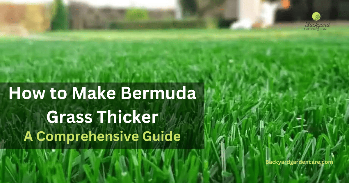 How to Make Bermuda Grass Thicker