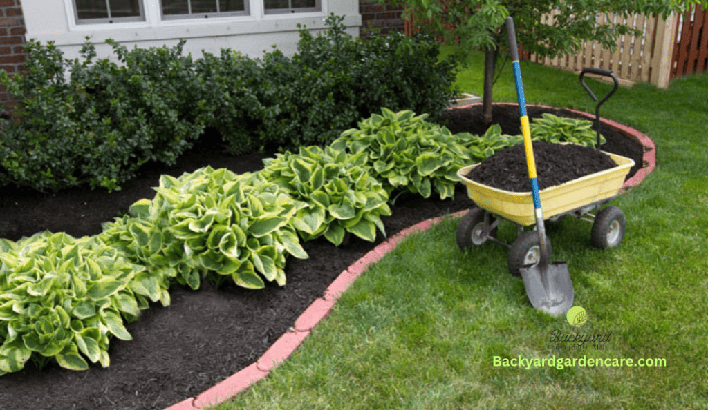 Layer of Mulch to Protect Grass Seeds