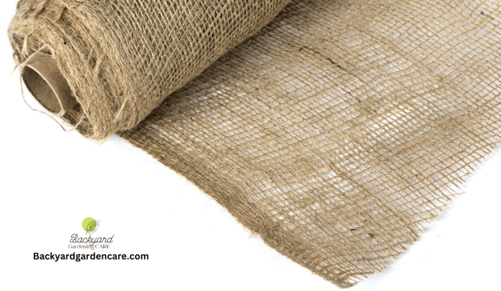 Burlap Sheets to Protect Grass Seeds