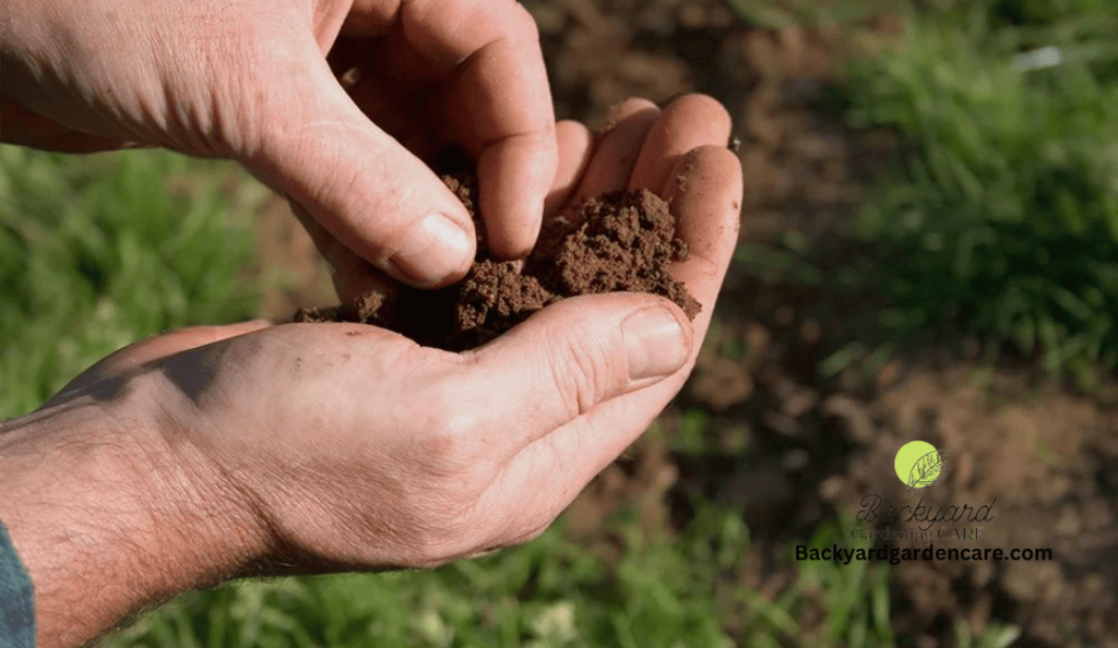 Soil Problems