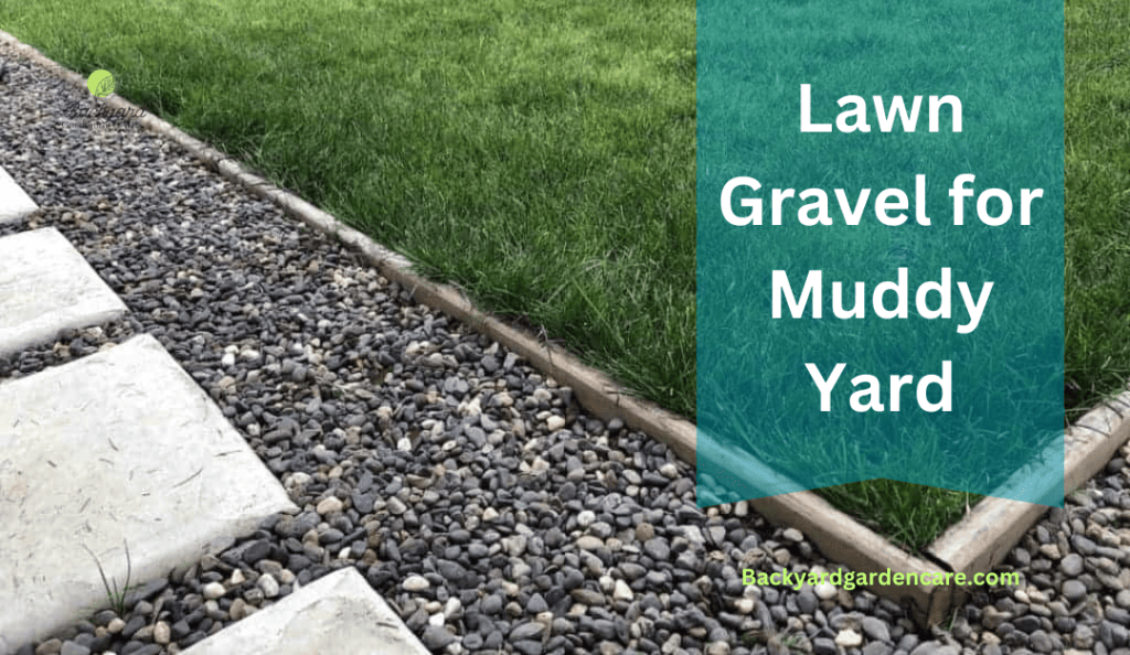 Decorative Lawn gravel