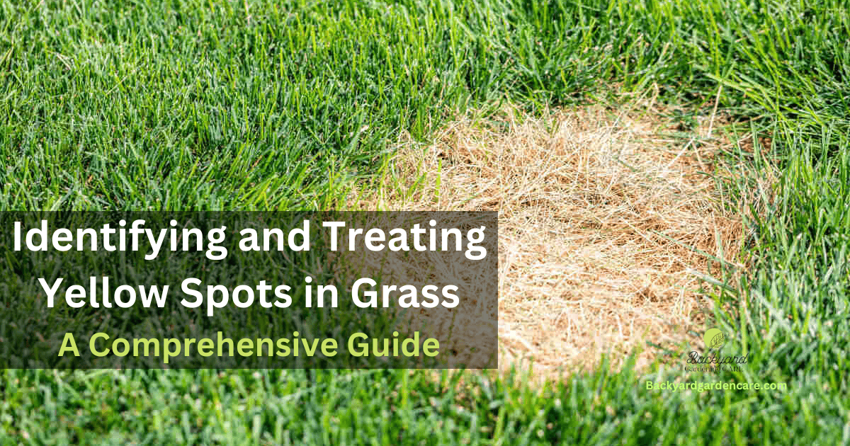 Yellow Spots in Grass Identifying and Treating 6 Sure Reasons A