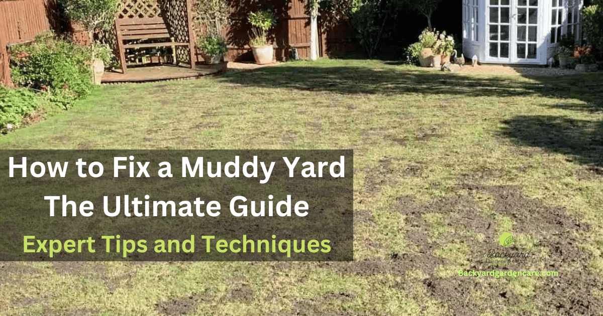 How to Fix a Muddy Yard The Ultimate Guide: Expert Tips and Techniques