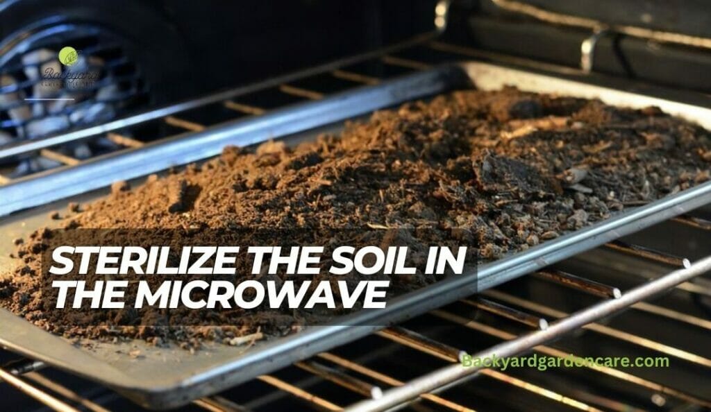 Sterilize the Soil in the Microwave