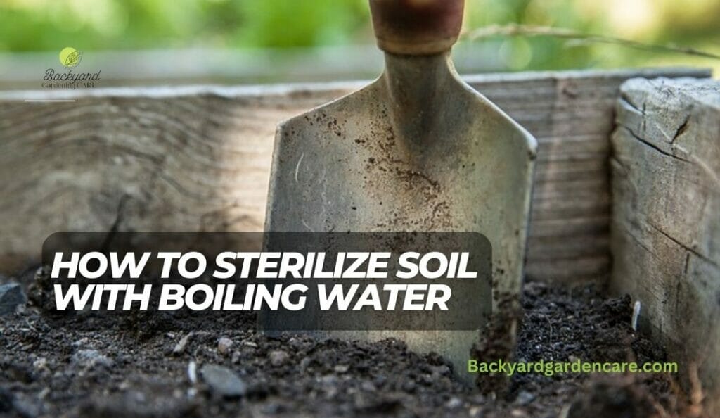 How to Sterilize Soil with Boiling Water