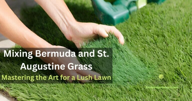Mixing Bermuda and St. Augustine Grass for a Lush Hybrid Lawn: Mastering the Art for Best of Both Worlds