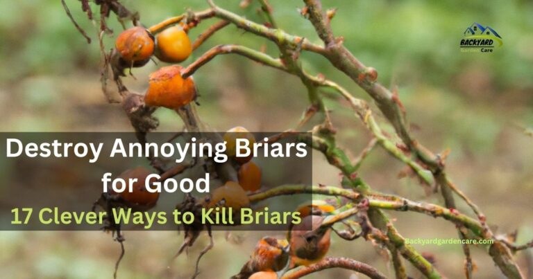 Destroy Annoying Briars: 17 Clever Ways to Kill Briars for Good, No More Prickly Problems!