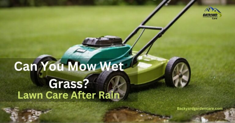 Can You Mow Wet Grass? Answering the Dilemma of Lawn Care After Rain