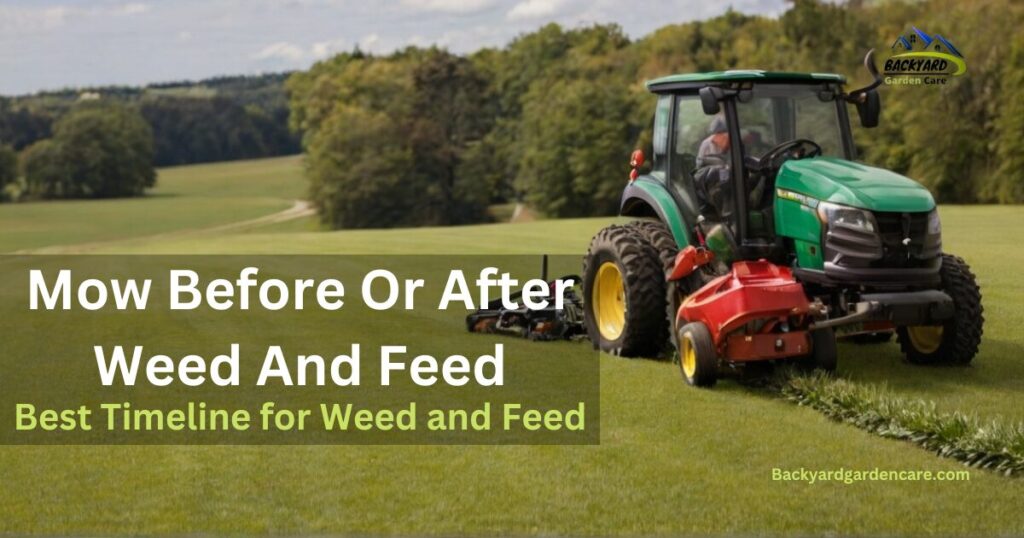 Mow Before Or After Weed And Feed 3 Best Ideal Timelines for Weed and Feed Applications