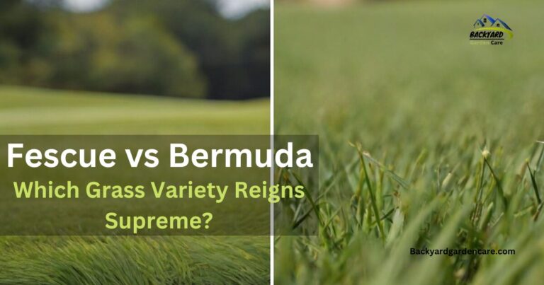 Fescue Grass vs Bermuda: Which Grass Variety Reigns Supreme?