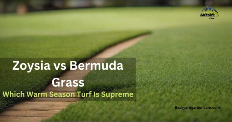 Zoysia vs Bermuda Grass - 2 Warm Season Turf Which Variety Reigns Supreme? The Great Grass Debate: